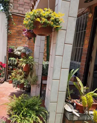 a building with potted plants on the side of it at CASA CULTURA in Lima