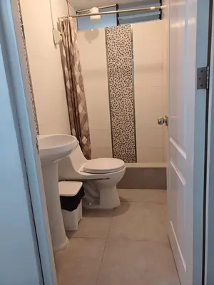 a bathroom with a toilet and a shower at Lucia's apartmens in Cusco