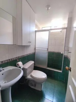 a bathroom with a white toilet and a sink at SUMAQ PUNUY HOSTEL - Lima Airport in Lima