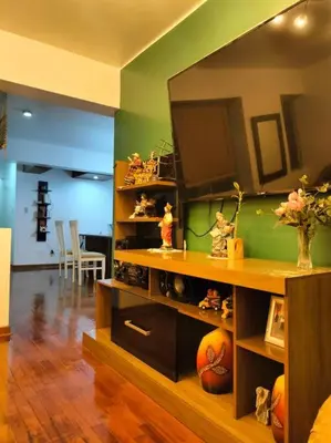 a living room with a book shelf with basketballs on it at Céntrico, acogedor y amplio apartamento en Magdalena in Lima