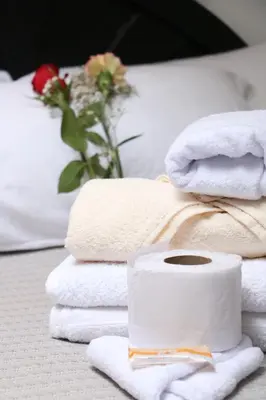a stack of towels and a roll of toilet paper at Millas House Cusco in Cusco