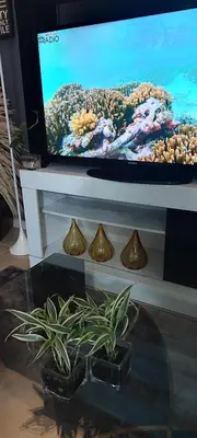 a television sitting on a table with a potted plant at Lima Airport Sumaq Home in Lima
