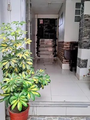 a plant in a pot in a hallway at HOSTAL La RASA in Cusco