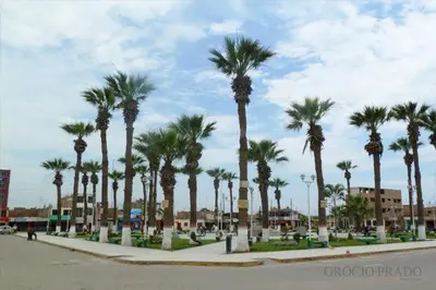 a row of palm trees on a street at CASITA PARA FIN DE SEMANA in Chincha Baja