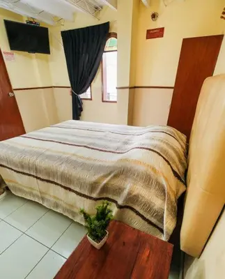 a bedroom with a bed with a potted plant in it at Residencial San Felipe in Lima