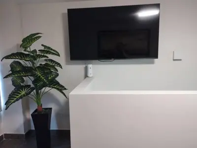 a living room with a tv and a plant at Mini Apartamento, cerca al Malecón de Chorrillos in Lima