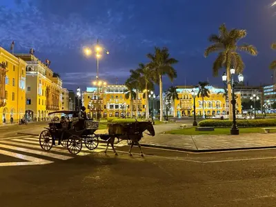 a horse drawn carriage on a city street at night at Sai in Lima