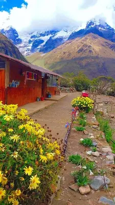 a dirt road with yellow flowers next to a building at SORAYPAMPA - Cabañas Andinas Mamá Andrea Eco Lodge in Soray