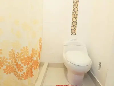 a bathroom with a toilet with a shower curtain at Centro Histórico de Lima, Departamentos Temporales in Lima
