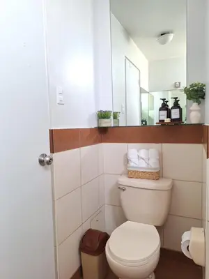 a bathroom with a toilet and a mirror at Modern 1-Bedroom Apartment with WiFi in Miraflores in Lima