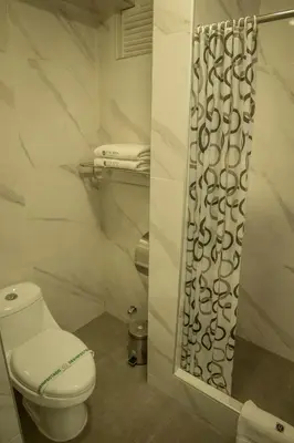 a bathroom with a toilet and a shower curtain at Hotel Lexus in Lima