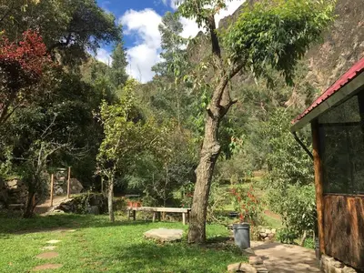 a park with a picnic table and a tree at HOSTEL INKA PACCHA - cascada inka in Ollantaytambo