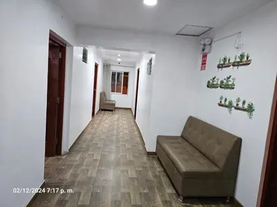 a hallway with a couch and plants on the wall at Hospedaje Paqcha in Cusco