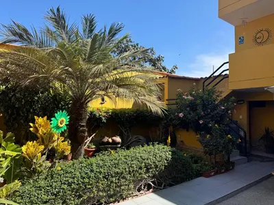 a yellow building with a palm tree in front of it at Hotel Alicia in El Puente