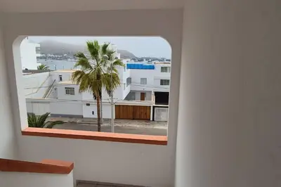 a view of a palm tree from a window at Apartamento duplex a 1 cuadra de Playa Naplo in Pucusana