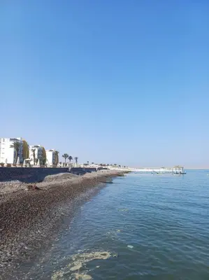 a beach with the ocean and buildings in the background at Gaviotas de Paracas in Paracas