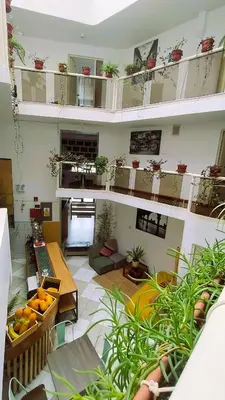 a living room with a lot of plants on shelves at Central Market Hotel San pedro in Cusco