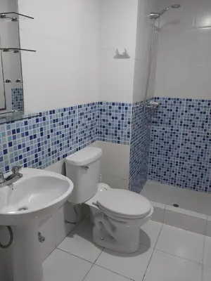 a bathroom with a toilet and a sink and a shower at Amplio Departamento amoblado, Condominio Parques de la Huaca - San Miguel in Lima