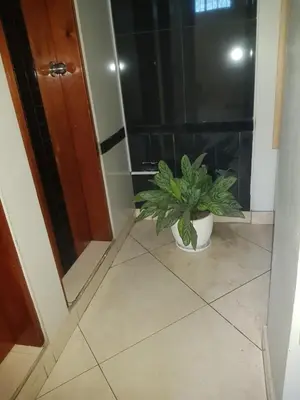 a plant sitting on a tiled floor in a bathroom at Paloma House in Lima