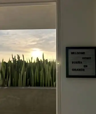 a door with a window with a view of a plant at Condominio Ocean reef in San Bartolo