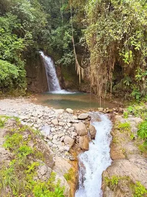 Gallery image of Casa en el bosque in Oxapampa