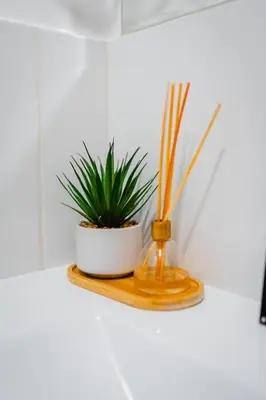 a plant sitting on a wooden shelf in a bathroom at Family-Friendly 2BR in Prime Location in Lima