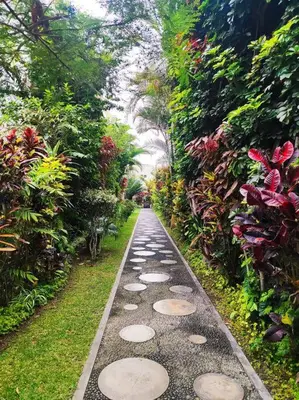 a path in a garden with stepping stones at Cómoda habitación independiente in Lima