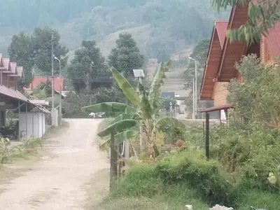 a dirt road with a palm tree in a village at Yompor's haus in Oxapampa