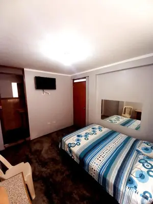 a bedroom with a large bed and a television at Francisco D Francisco in Lima