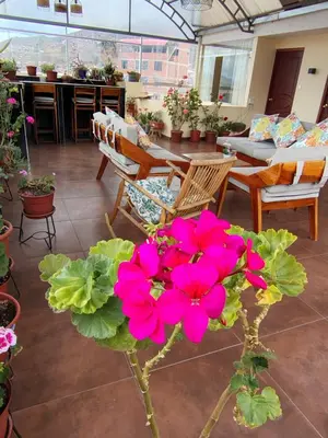 a bunch of pink flowers in the middle of a patio at Departamento en La casa de Teresita in Cusco
