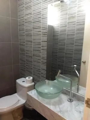 a bathroom with a sink and a toilet at Moderno Apartamento Vista al Parque - San Borja Sur - Lima Perú in Lima