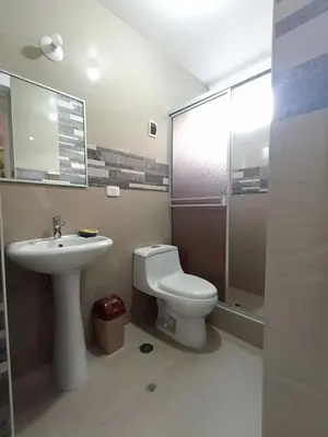 a bathroom with a toilet and a sink and a shower at Casa Mónaco in Cusco