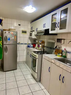 a kitchen with a refrigerator and a sink at Omi's Room 2 in Lima