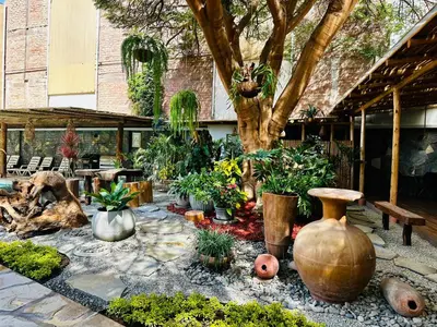 a garden with a bunch of plants and a tree at Casa El Oasis de Ica in Ica