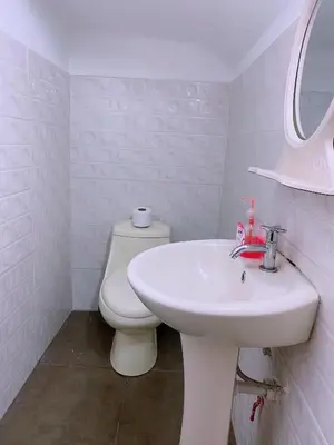 a bathroom with a white toilet and a sink at P2 Habitación Privada doble Miraflores, LIMA in Lima