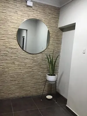 a mirror on a wall with a potted plant at Suite 201 in Lima