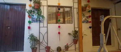 a room with potted plants on the wall at Hospedaje Rosita INN in Cusco