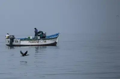 a bird flying next to a boat in the water at Apartamento Frente a Islas Ballestas in Paracas