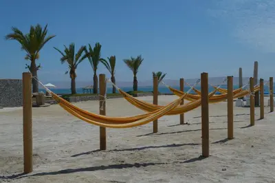 a hammock on a beach with palm trees and the ocean at Apartamento Frente a Islas Ballestas in Paracas