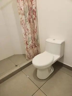 a white toilet in a bathroom with a shower curtain at TOWEr2 in Lima