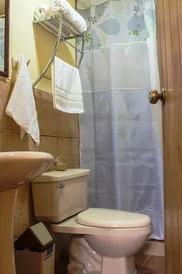 a bathroom with a toilet and a sink and a shower at Spacious entire house with awesome mountain views in Urubamba