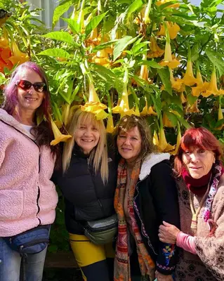 three women posing for a picture in front of a tree at Amira's House Cusco in Cusco