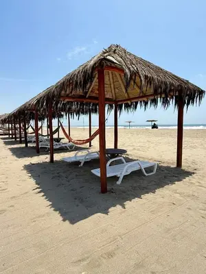 a row of straw umbrellas and chairs on a beach at Bungalows frente al mar en playa Wakama in San Vicente de Cañete