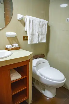 a bathroom with a white toilet and a sink at Chakana Hotel Machupicchu in Machu Picchu