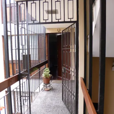 a hallway with a potted plant in front of a door at Palmeras Apartments San Isidro in Lima