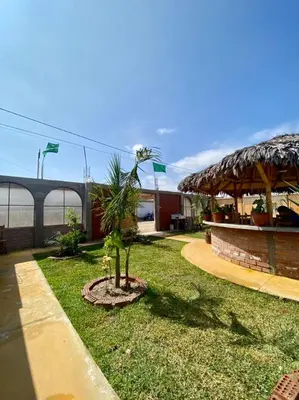 a palm tree sitting in a yard next to a building at Coco y Ainhoa Lodge in Paracas