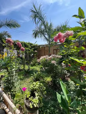 a garden with flowers and plants in a yard at Coco y Ainhoa Lodge in Paracas