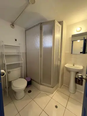 a bathroom with a shower and a toilet and a sink at Departamento 1 Waynapata Centro Histórico de Cusco in Cusco
