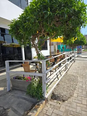 a tree sitting next to a white fence with flowers at Hostal COSTA AZZURRA in Cerro Azul