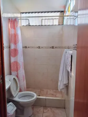 a bathroom with a toilet and a shower at Nice stay in Los Olivos in Lima